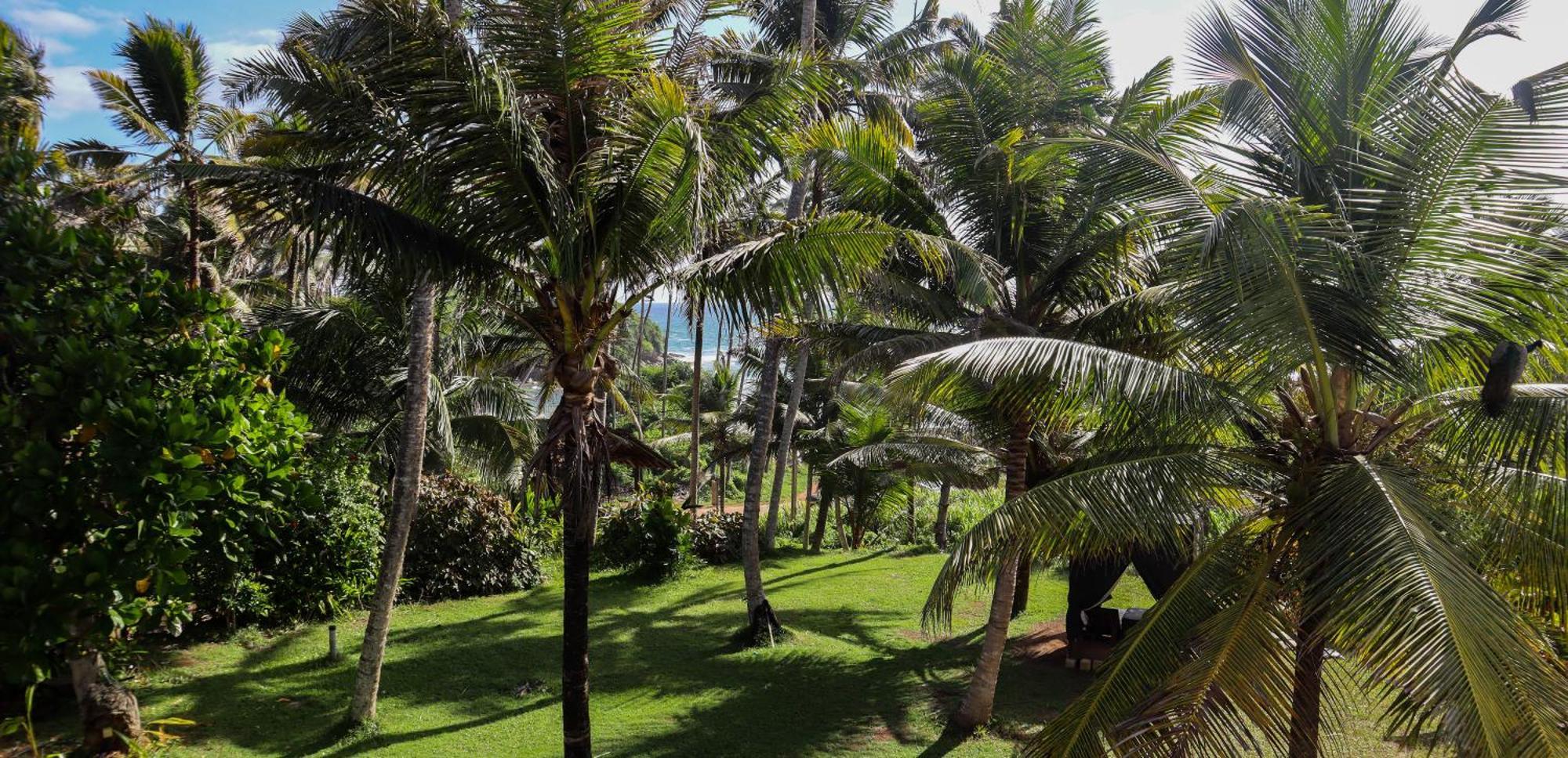 Singhe House Hotel Dickwella Exterior photo