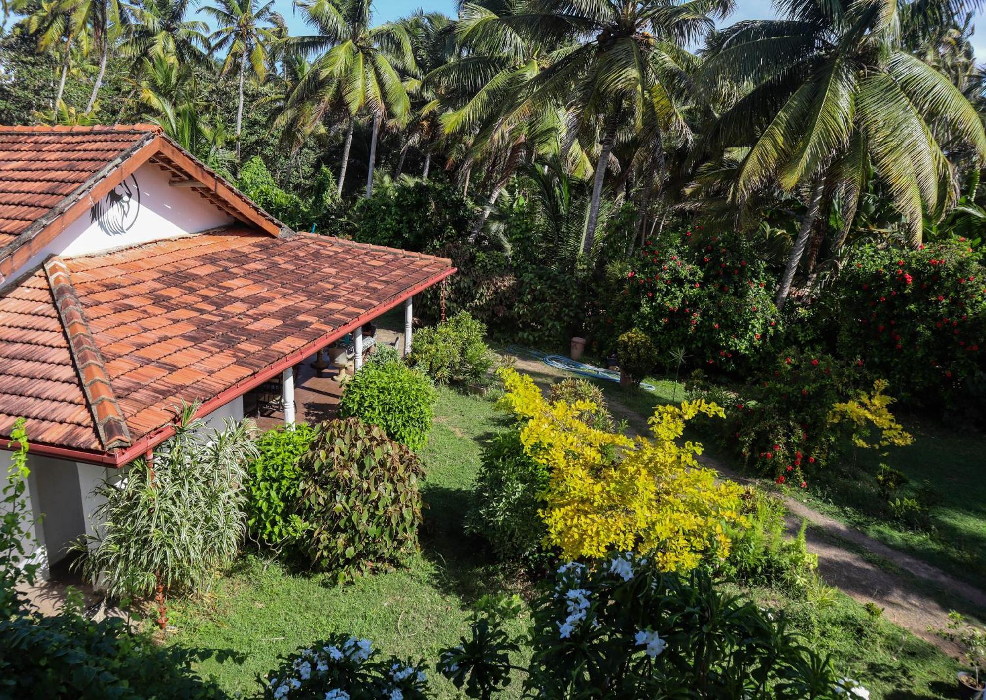 Singhe House Hotel Dickwella Exterior photo