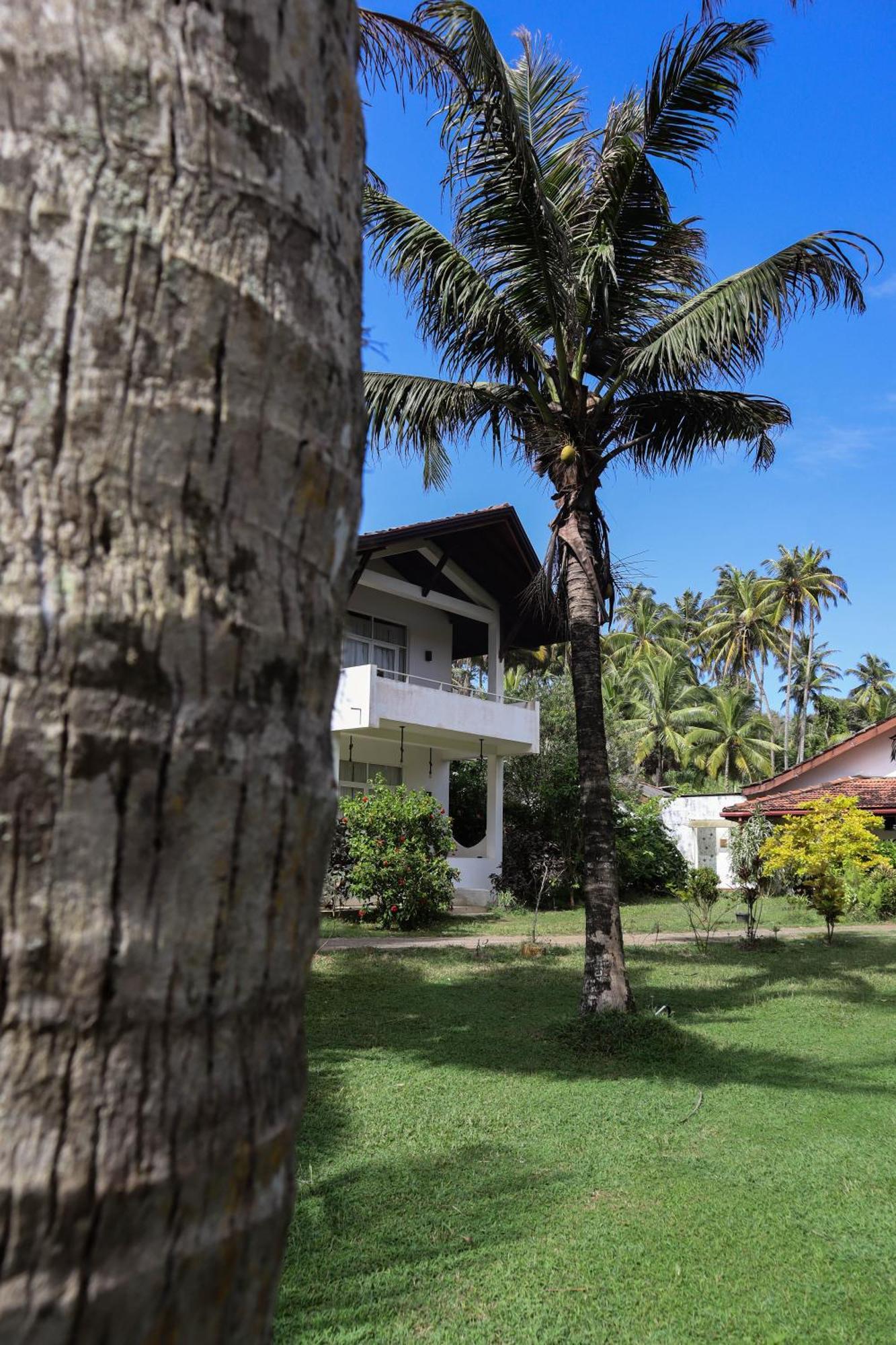 Singhe House Hotel Dickwella Exterior photo